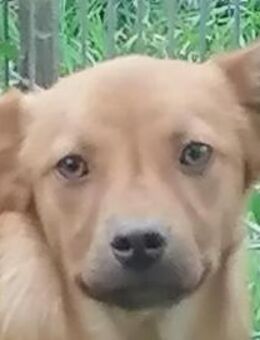 Cicy - Rotenburg (Fulda)