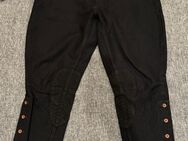 Breeches Motorrad Reiter Hose Jodhpur Siefelhose Gr 34/34 L - Köln