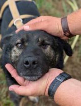 Dieter sucht sein Glück - München