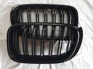 für BMW X3 TYP F25 + X4 TYP F26 Baujahr 2014-2018 KÜHLERGRILL GRILL NIEREN DOPPELLEISTEN SCHWARZ GLANZ SET NEU - Herten