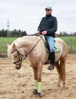 Nette Pferdefrau gesucht - Petershagen