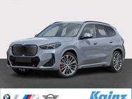 BMW iX, 1 xDrive30 M Sportpaket M-Paket Live Prof, Jahr 2024 - Kottenheim