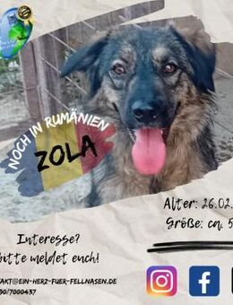 ZOLA - junge Lady möchte sich entfalten - Waakirchen