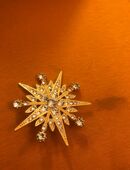 Vergoldendes Brosche zu verschenken in Dresden oder Versand in 01067