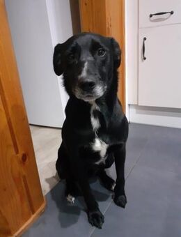 Beny ❤️❤️ - Burgsinn