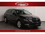 Skoda Octavia 2.0 TDI Style-Navi-LED-Tempo-AHK-PDC-SHZ - Bebra