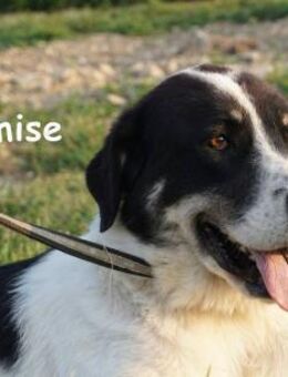 Promise großes Mädchen mit viel Charme - Kissing