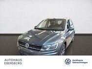 VW Tiguan, 2.0 TDI Comfortline WSS-Hzg Spiegel, Jahr 2020 - Ebersberg