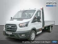 Ford Transit, Pritsche 350L3 Einzelkabine Trend, Jahr 2024 - Halle (Saale)