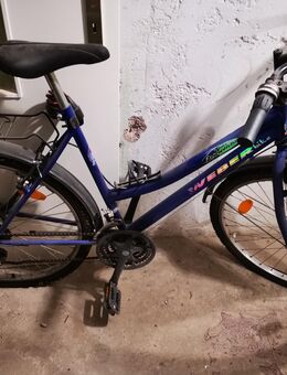 Fahrrad blau - Erfurt