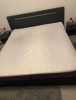 Boxspringbett - Dortmund Schüren