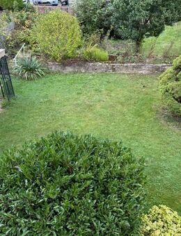 Tolle, neu renovierte Wohnung mit Garten, Stellplatz und Garage! - Bad Orb