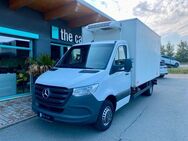 Mercedes-Benz Sprinter III 316/516, Tiefkühler 2-Zonen, 1.Hand - Riesa