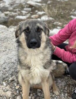 Oksana sucht ein Zuhause - München