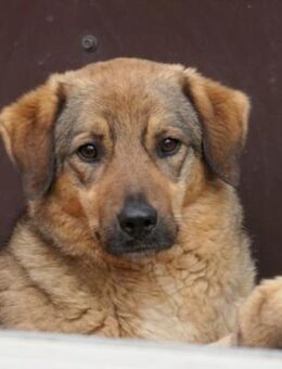 Alena ♥️ - Kallmünz