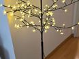 LED Dekobaum in 02625