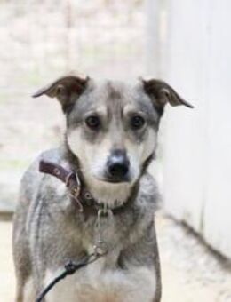 Lilo su. Paten - Neuhausen (Spree)