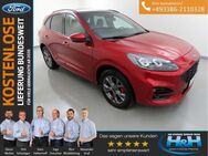 Ford Kuga 2.5 Plug-in Hybrid ST-LINE X (LED+ACC+BLIS) - Premnitz