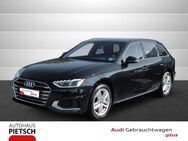 Audi A4, Avant 40 TDI advanced, Jahr 2024 - Melle