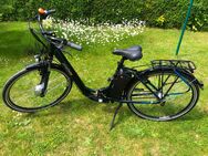 Ebike Prophete ca.160 km Tiefeinsteiger Mittelmotor - Ansbach