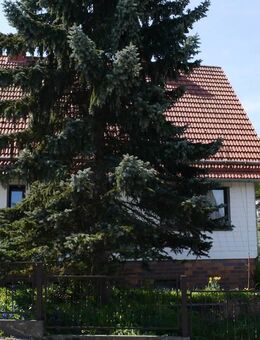 *** Charmantes Einfamilienhaus in Ilmenau Südviertel - Ilmenau