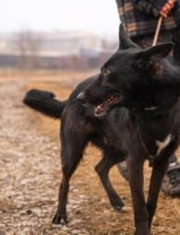ERIC - raus geht's? bin schon mit dabei - Overath