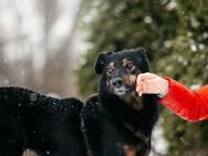 Berta❤️sucht liebevolle Menschen - Rott (Inn)
