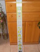 Insektenschutz-Fenster in 58762