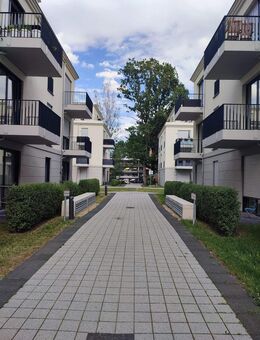 1-Raumwohnung in Potsdam Waldstadt 2 - Wentzel Dr. - - Potsdam