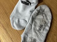 Verführerische Socken für besondere Momente! - Dresden