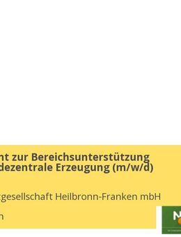 Werkstudent zur Bereichsunterstützung Einspeiser/dezentrale Erzeugung (m/w/d) - Heilbronn