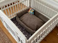 Puppy playpen - München