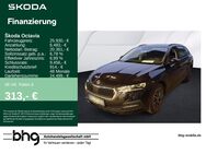 Skoda Octavia, 2.0 TDI Combi Ambition Octavia Combi, Jahr 2021 - Freudenstadt