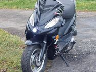 Nova Motor Roller 25 km/h - Nürtingen