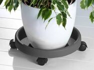 Ruco Blumentopfuntersetzer, Set, 2-tlg., Kunststoff, Ø 34 cm