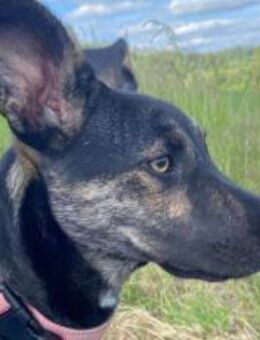 Wird Amika deine beste Freundin? - München