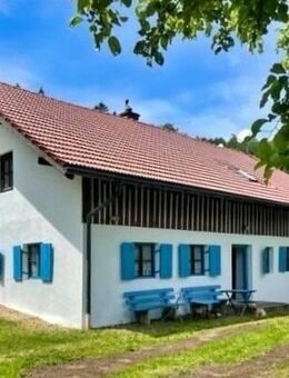 Leben, wo andere zur Ruhe kommen: Ein Paradies in Bernried auf über 20.000 m² - Bernried