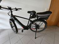 E-Bike 3.0, Bosch Perf-Line CX Gen.4, 85Nm, Hersteller-Garantie -Mai 2027 - Horn-Bad Meinberg