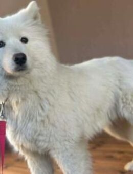 Über Beauty die junge Entdeckerin - Kierspe