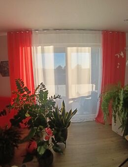 Nähe Moderne Gardinen - Wolfsburg