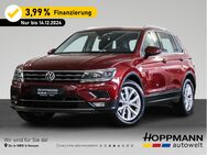 VW Tiguan, 2.0, Jahr 2019 - Siegen (Universitätsstadt)