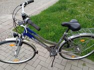 Damenfahrrad 28 zoll - Halberstadt