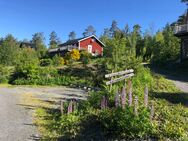 Ferienhaus in Südschweden, Sommerurlaub, Stuga, Haustiere erlaubt, Ferienhaus in Schweden, 6 Personen - Neumünster