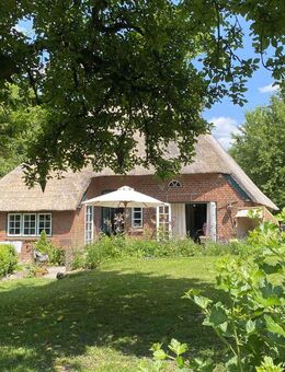 Reetdachhaus, Reetdachkate an der Ostsee - Sierksdorf