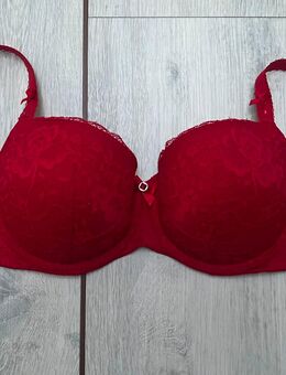 BH von Hunkemöller 75F rot mit Spritze - Vechta