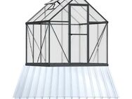 6 mm Gewächshausplatten Ersatzplatten für Gewächshaus - Polycarbonat - Wesel