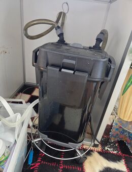 Aquarium, Topffilter, Lampe, Unterschrank - Bleckede Zentrum