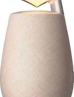 LG XBOOM 360 DXO2 Lautsprecher 1.1 (Bluetooth, 20 W, 360° Sound, bis zu 20Std. Akkulaufzeit, Ambient-Beleuchtung)