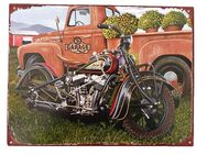 Schönes Blechschild Motorrad Indian & Auto Biker 33x25 cm - München