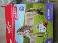 schleich 42430 HORSE CLUB Hannahs Erste-Hilfe-Set - Dresden